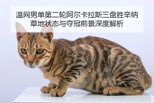 温网男单第二轮阿尔卡拉斯三盘胜辛纳 草地状态与夺冠前景深度解析