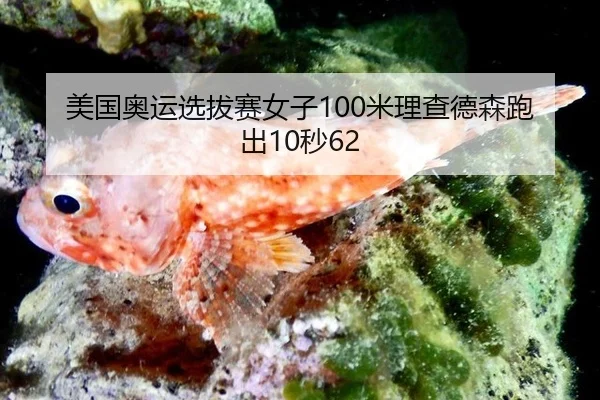 mei-guo-ao-yun-xuan-ba-sai-nv-zi-mi-li-cha-de-sen-pao-chu-miao-2-934.jpg